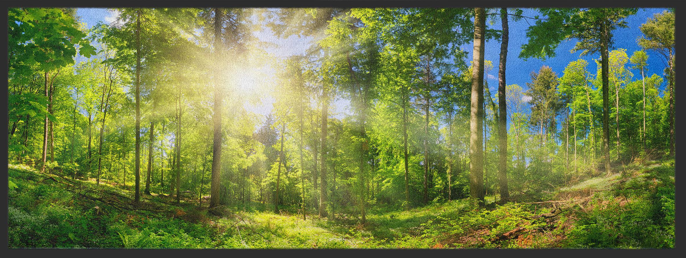 Läufer mit fotorealistischem Waldmotiv